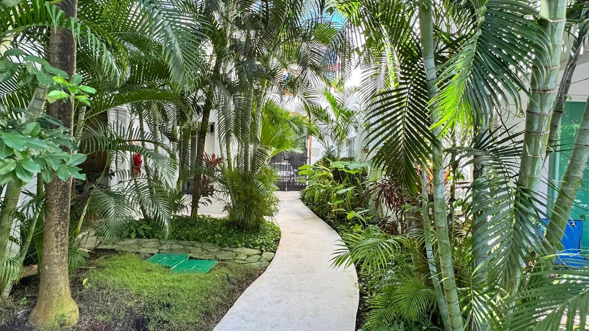 Central Luxury Stay -Fast Wifi- Playa Experience بلايا ديل كارمن شقة